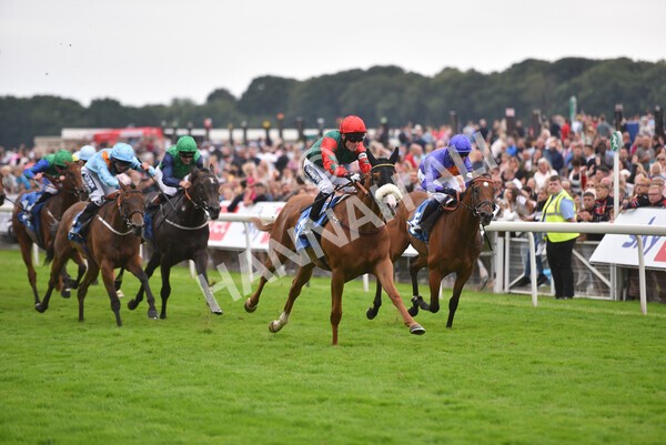 yr24072021r7-52 - Race 7 5.35pm The Sporting Life Fast Results Stakes