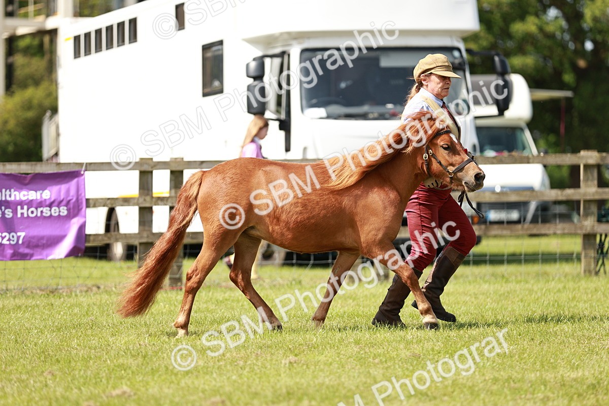 SBM_02445
