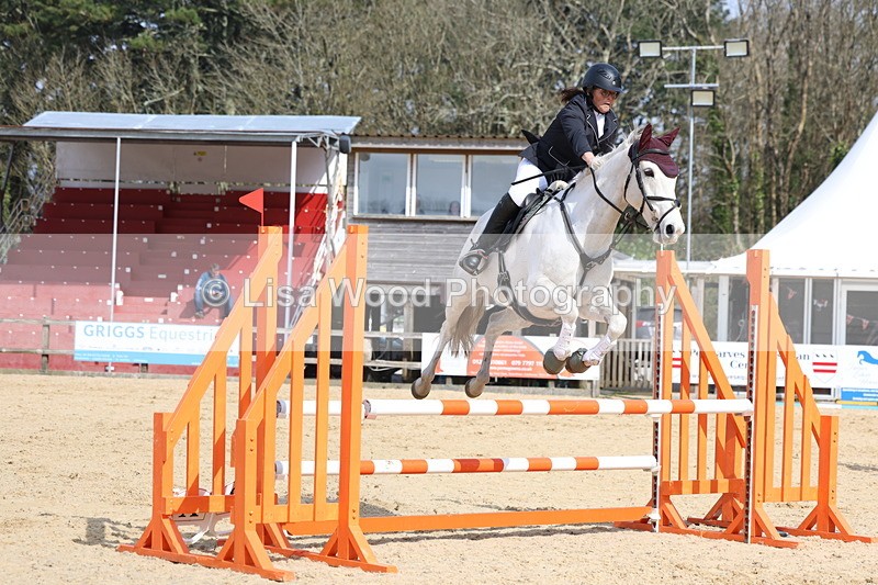 3E7A6674 - Class 4: Senior British Novice/90cm open