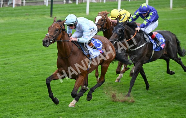 200825-099 Pride Of Arras - Race 3 3.00pm Sky Bet Great Voltigeur Stakes