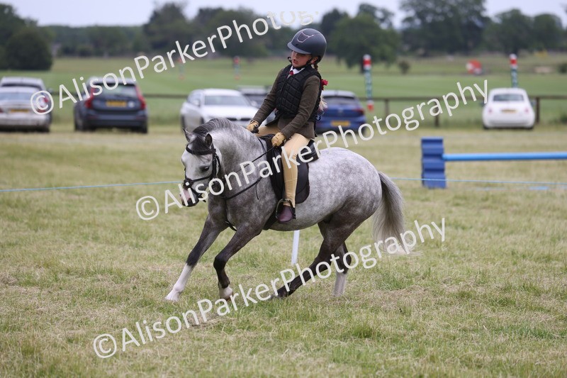 20260614-3143 - Class 22 - Open Working Hunter
