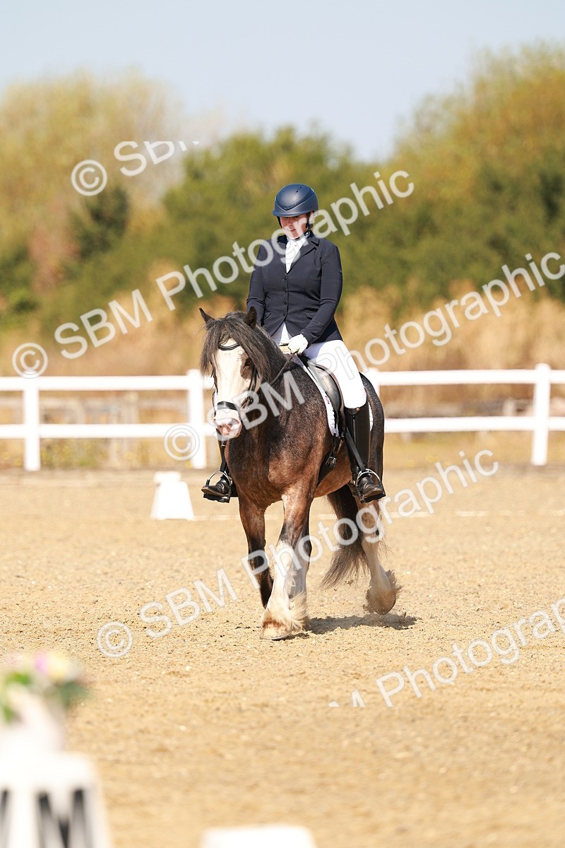 SBM_017803 - Class 9 - N5 Bronze 10.33.11.36