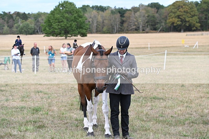 WJ6_6320 - Class 19 In-hand Veterans (Uploaded correct folder)