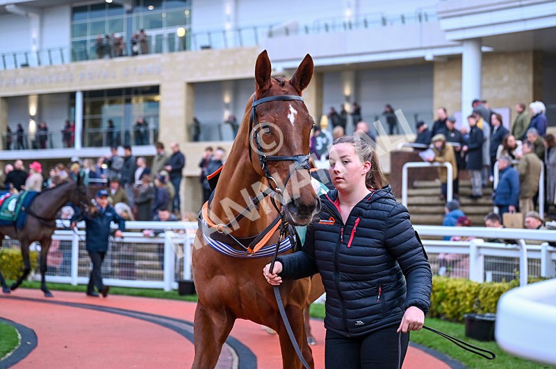 141224-Race 7-Masked Dance-0953 - Race 7