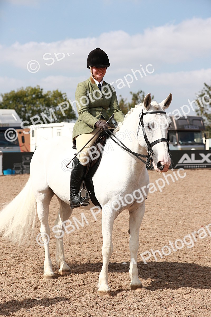 SBM_14881 - Class 212 Ridden Hunter - Small