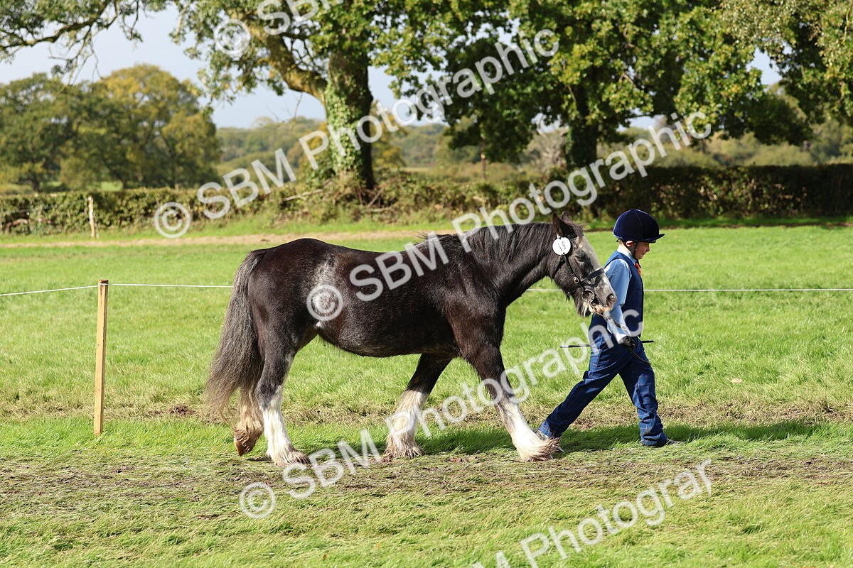 SBM_39408 - S24 - Young Veteran In Hand