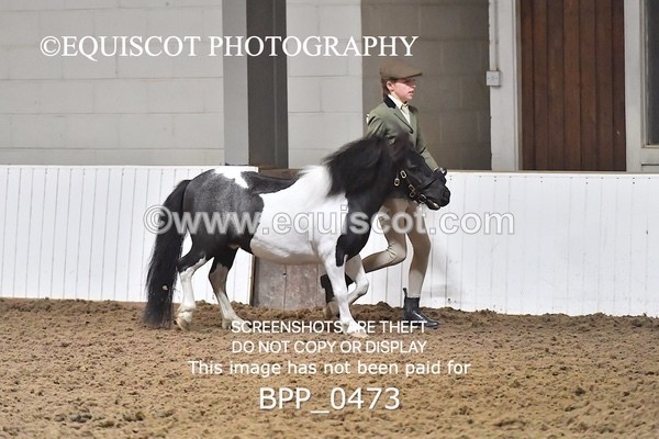 BPP_0473 - RING 1