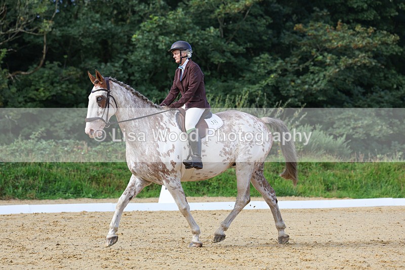 3E7A2364 - Class 1: Intro 4 2024 section A