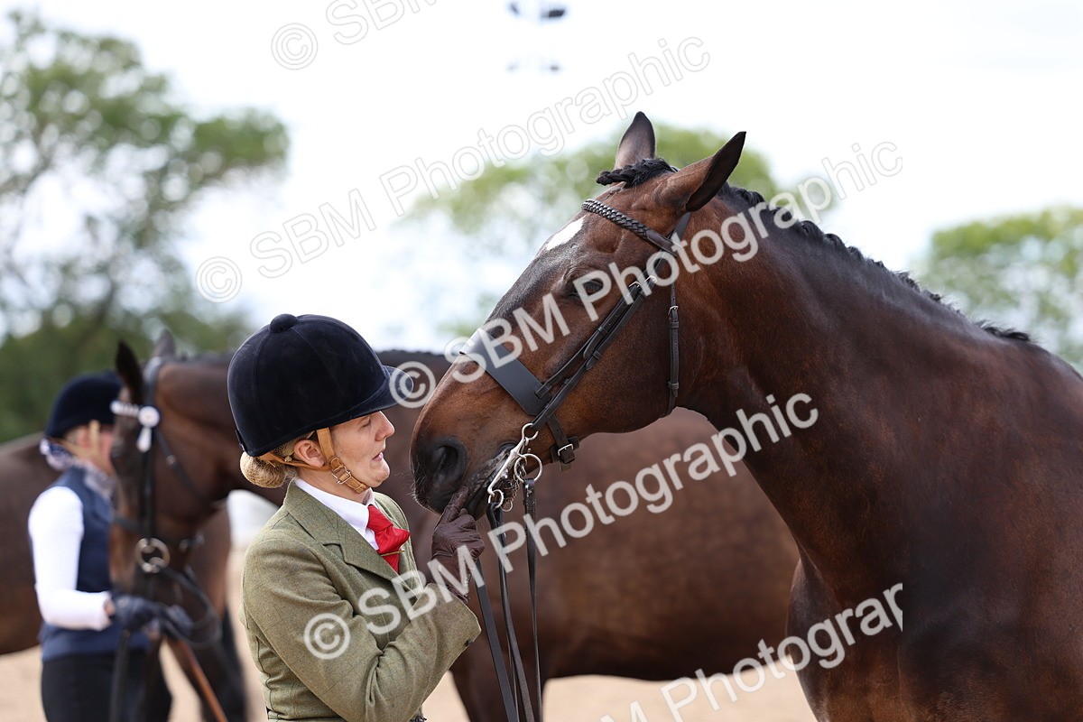 SBM_05776 - Class 28 - IH Veteran Horse
