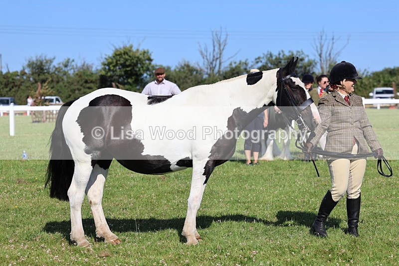IMG_1590 - Class 30: Ridden Native/Trad Coloured Pony
