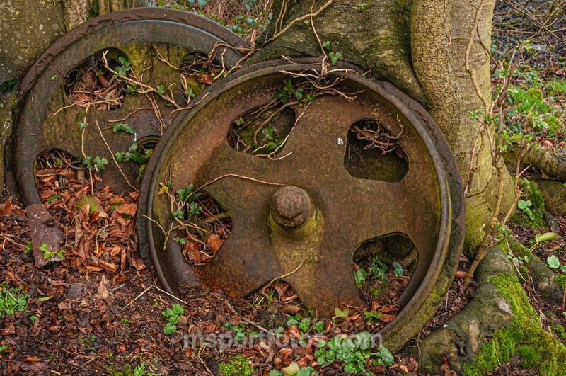  - Old world farm near Dromara