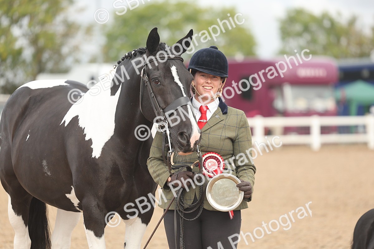 SBM_02139 - Class 15 - IH Coloured