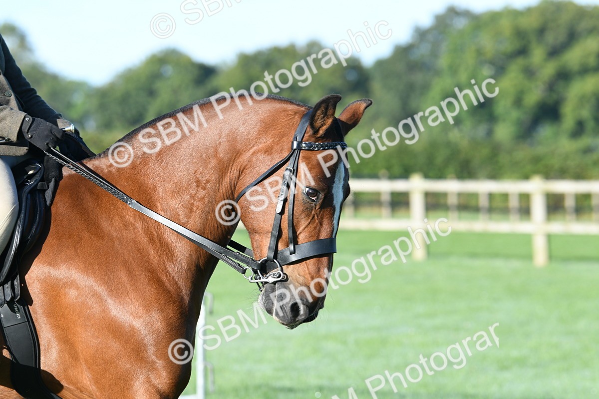 SBM_33873 - S16 - Condition & Turnout - Ridden