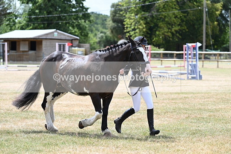 WJ7_1935 - Class 4a Prettiest Mare 14.2hh and over hand