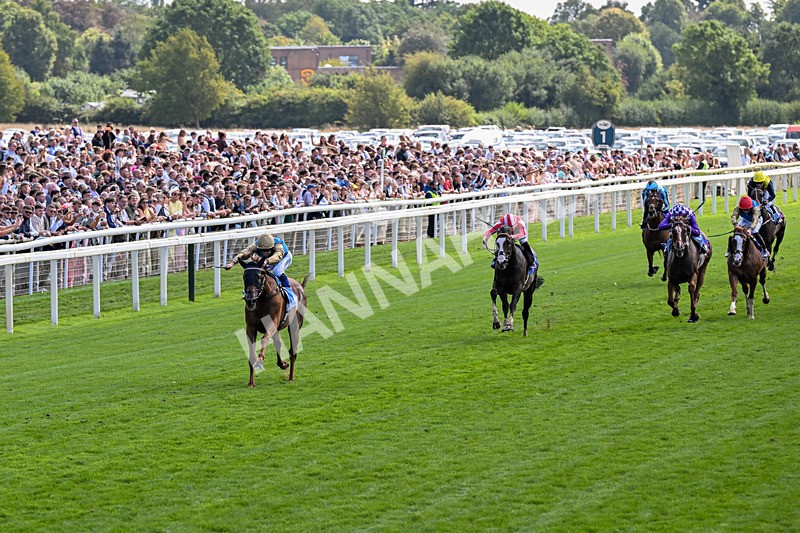 220826-Race 1-Archivist-0210 - Race 1 13.50pm Sky Bet Strensall Stakes