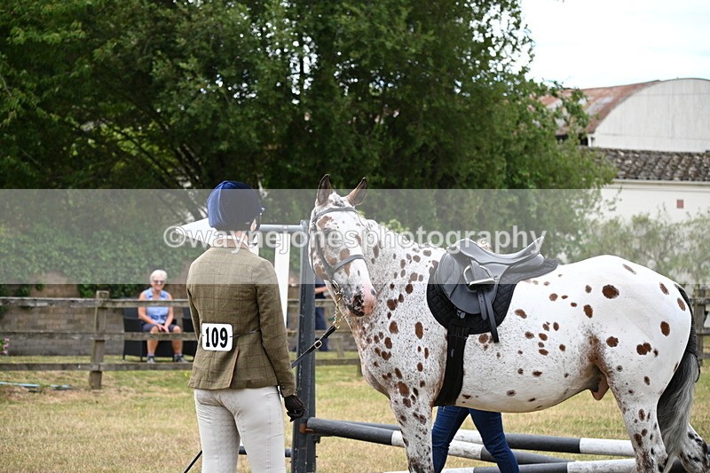WJ6_3832 - Class 9 Tack & Turnout