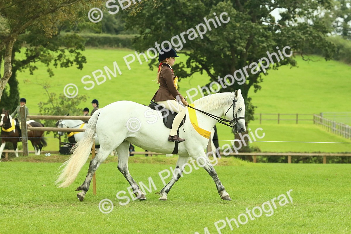 SBM_74976 - Ridden Pony Supreme Championship