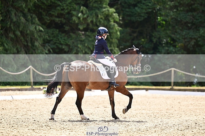 260802A-122524-06206 - Novice Silver break- end