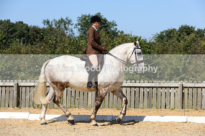 1X9A8102 - Class 11: Open Cob