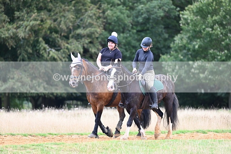 DSC_5207 - Time at Statue 11:46 to 12:16