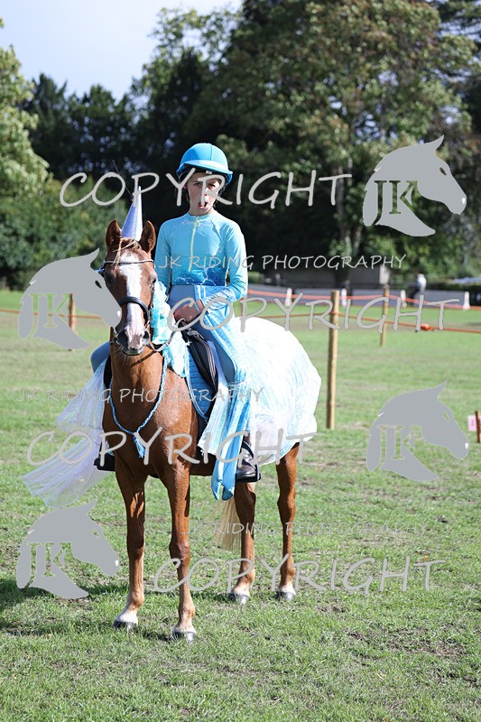 APP_4056 - Class 19 Fancy dress