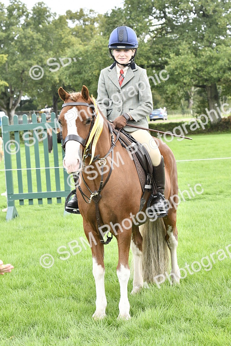 SBM_38301 - S31 - Novice & Newcomer Working Hunter Pony