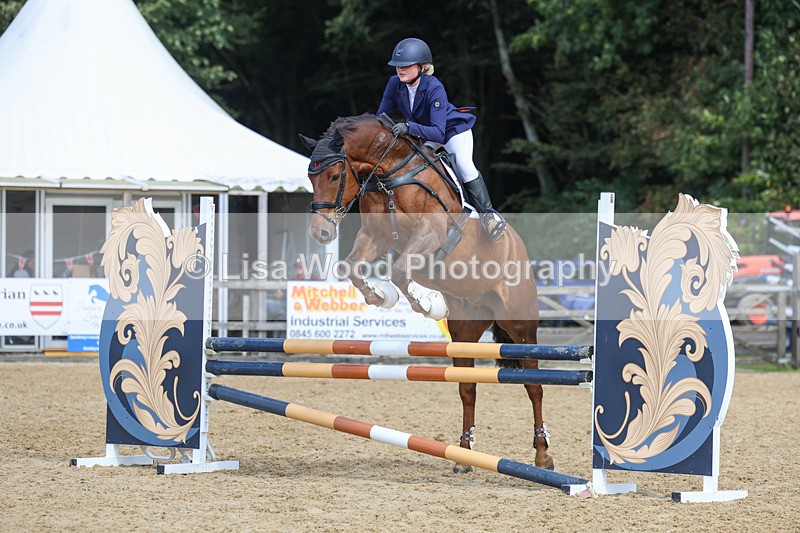 3E7A9329 - Class 9: Senior British Novice/90cm open