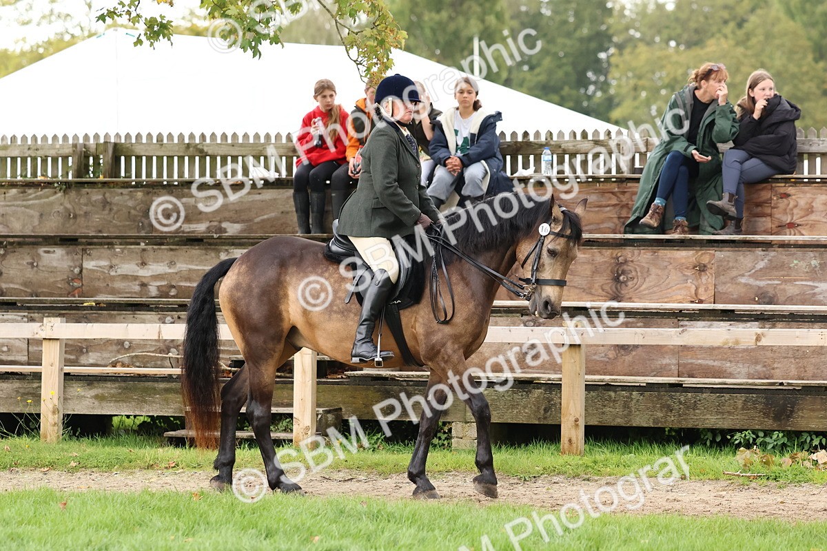 SBM_44922 - S27 - Young Veteran Ridden