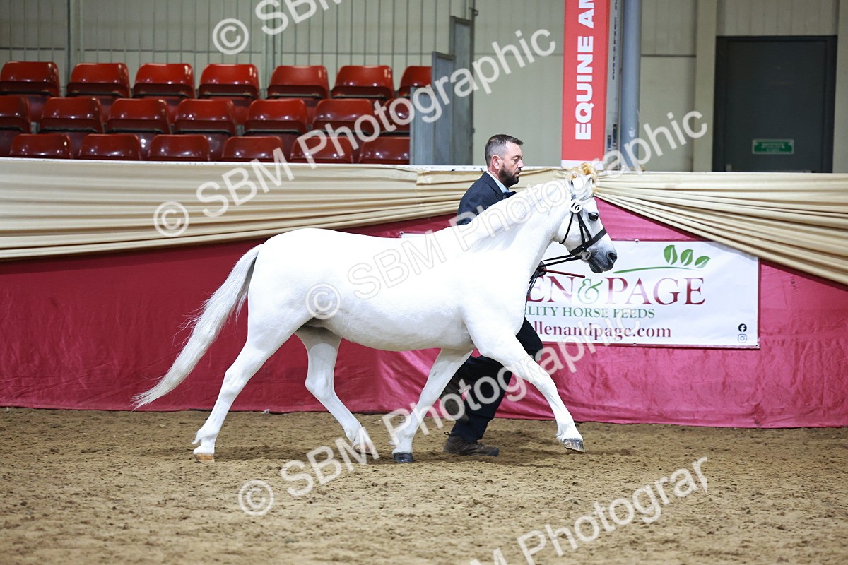 SBM_20317 - Class E - Best Turned Out Champ