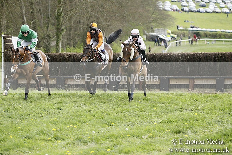 PtP 170417 168 - Old Berks Point-to-Point Lockinge 17/04/17