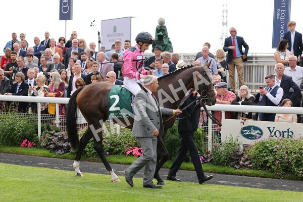yr20082021r2-12 - Race 2 2.25pm Weatherbys Hamilton Lonsdale Cup (British Champion Series race)