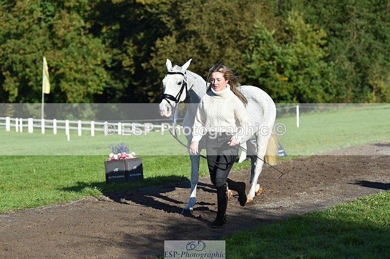 231022-101026-22284 - 443-OVERLEY.STORMBREAKER-Laney.Cridland-TrotUp+SJ