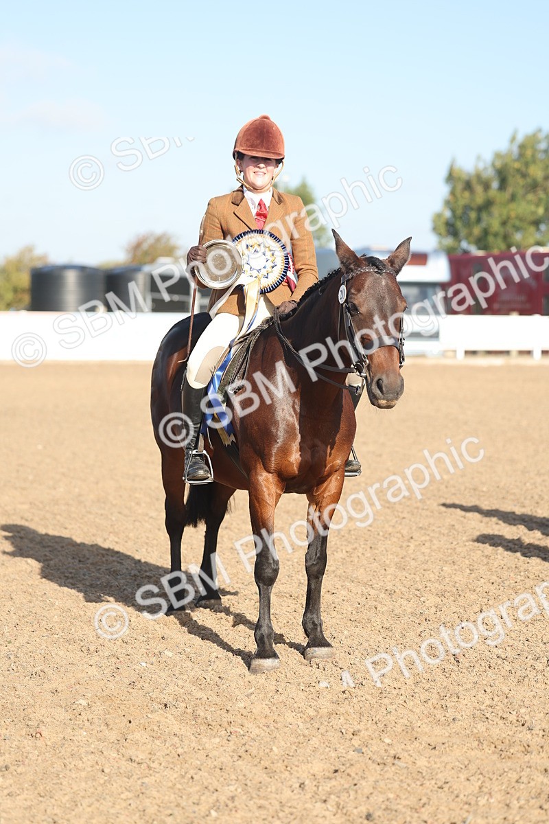 SBM_22135 - Class 801 - Ridden Veterans