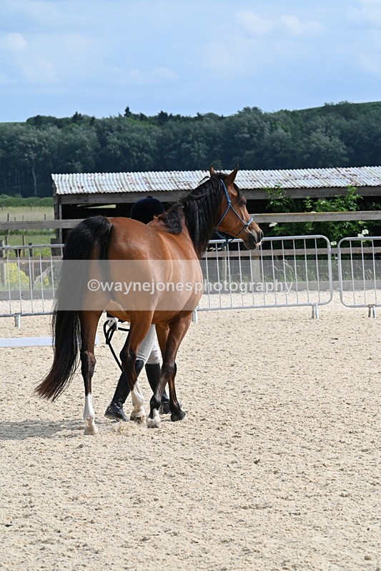 WJ7_8144 - Time 16:10 to 16:25