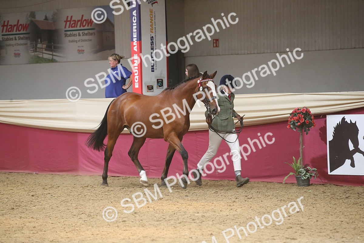 SBM_05501 - Class 9R - Regional IH Pre-Vet