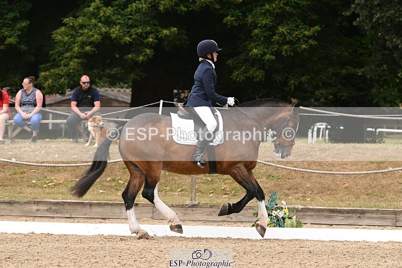 250719A-120230-04556 - 026-Carol.Quantrill-Cormoy.Lad