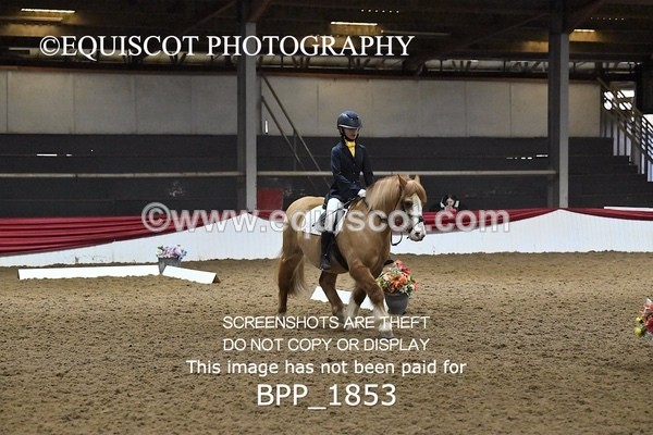 BPP_1853 - INTRO TEST 2