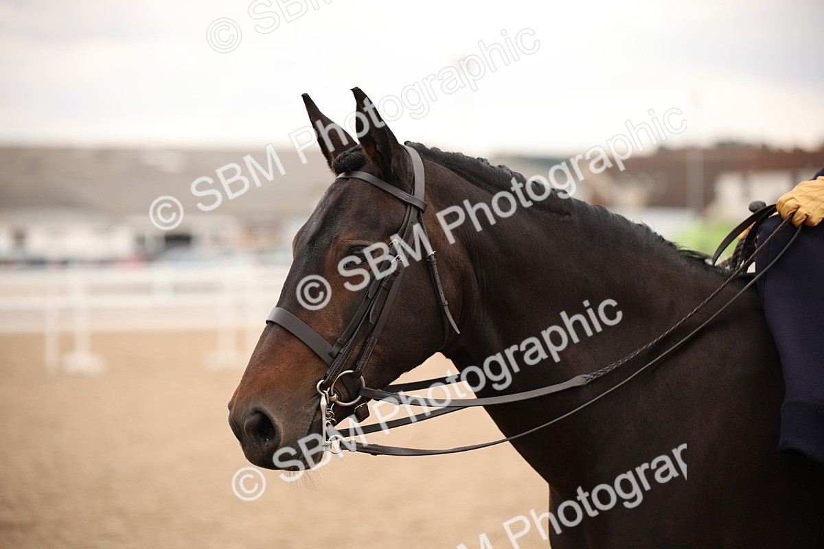 SBM_05458 - Class 22 SSA Equitation