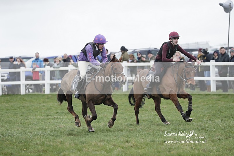 PtP 260323 0074 - New Forest Hounds Point-to-Point Larkhill 26/03/23