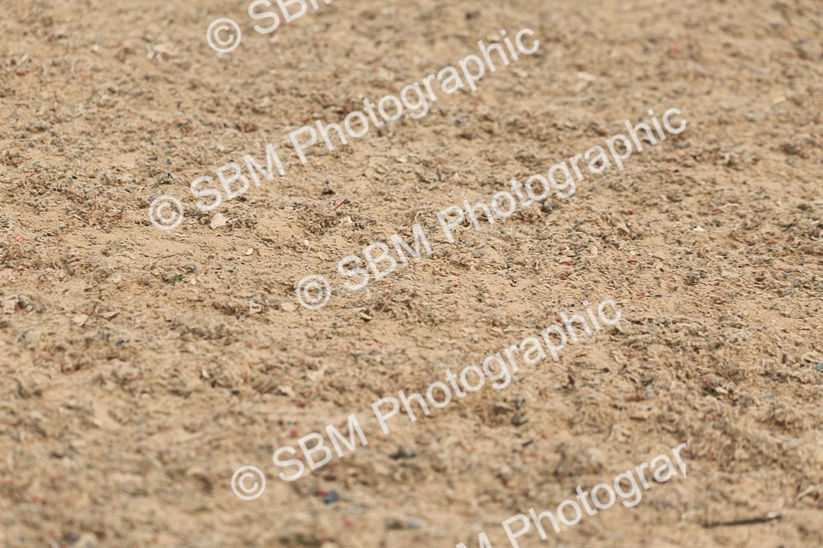 SBM_04398 - Class 17 - Prettiest Mare (IH or Ridden)