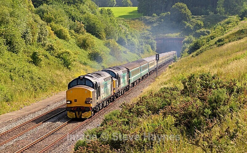 29th June 2019 - Whiteball, Somerset