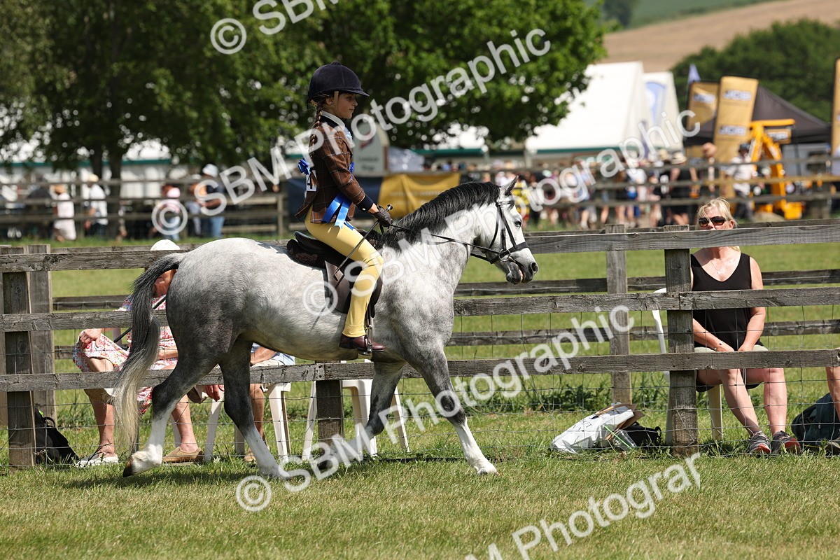 SBM_05391 - Class 24-25 - Mountain & Moorland In Hand Lead Rein and First Ridden