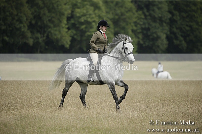 B230619-0465 - Bourne Valley Riding Club Summer Show 23/06/19