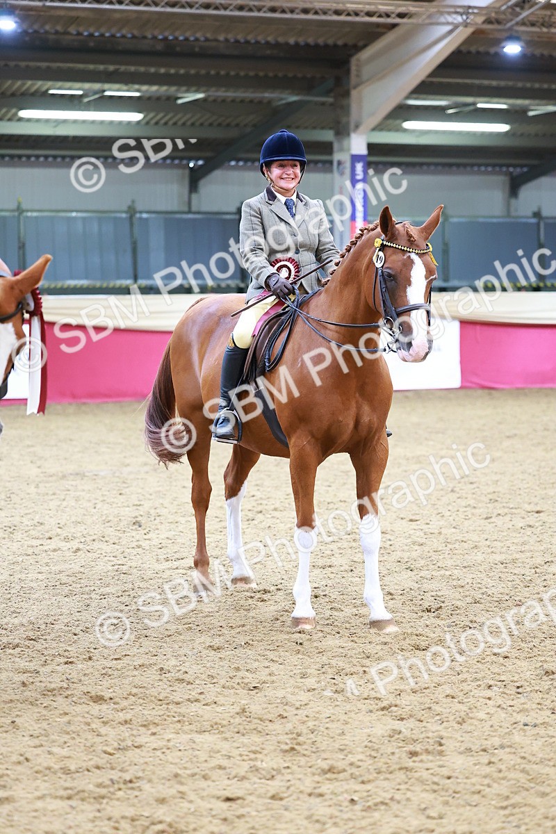 SBM_06346 - Class 12R - Ridden Pre-Vet