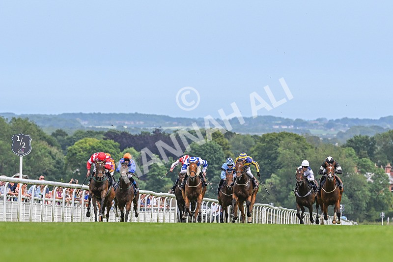 250624-Race 1-Lady Bouquet-8851 - Race 1