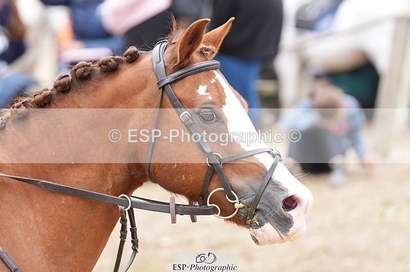 250820A-125814-05916 - Round 2, Start to 13.45 Break