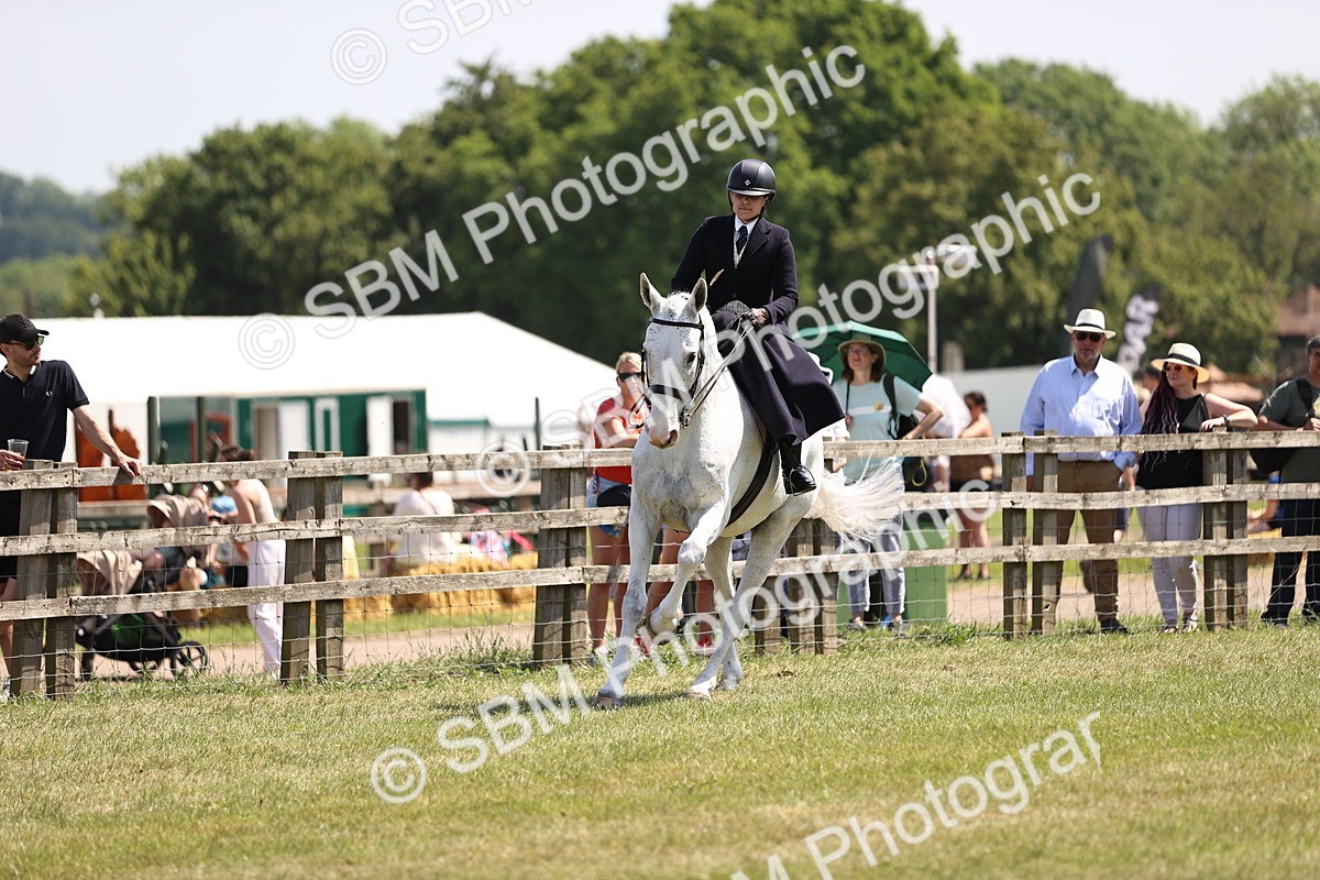 SBM_15159 - Class 79-80 - LIHS BSHA Rising Star Ridden Hunter