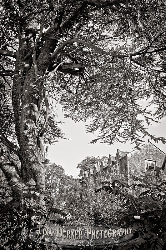 Littledean Hall by Tina Dorner Photography, Forest of Dean and Wye Valley, Gloucestershire