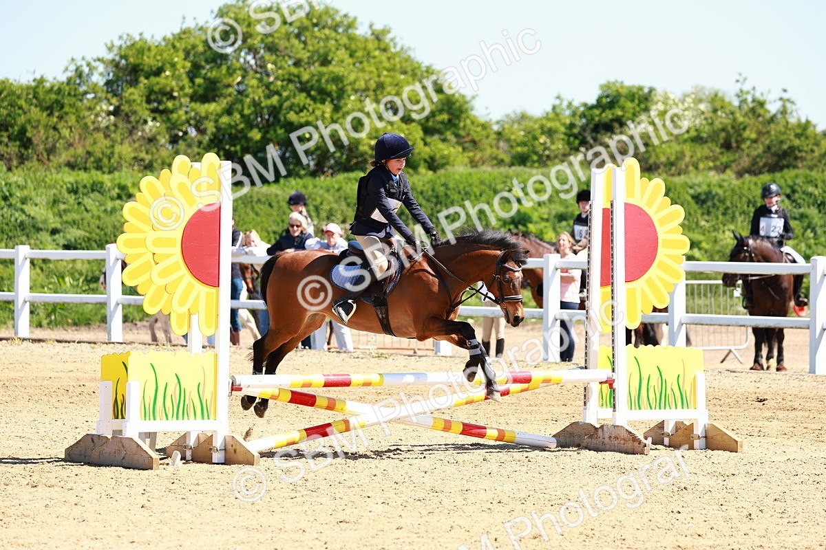 SBM_007247 - Class 3 - 60cm