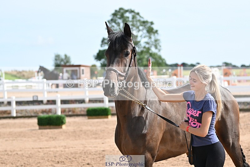 240717A-160339-03303 - Trot Up 4pm to 5pm